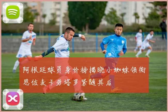 阿根廷球员身价榜揭晓小蜘蛛领衔恩佐麦卡劳塔罗紧随其后