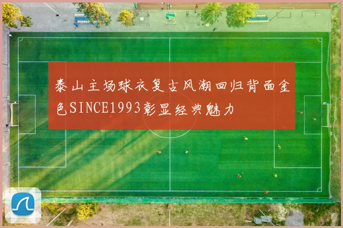 泰山主场球衣复古风潮回归背面金色SINCE1993彰显经典魅力