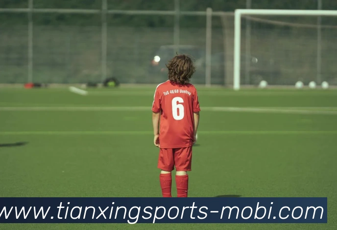 天行体育平台生态图