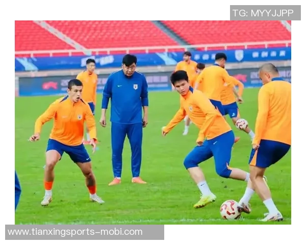 足球报:泰山队明年将重视年轻人才培养与引进优秀外援中卫并行发展 足球报:泰山队明年将重视年轻人才培养与引进优秀外援中卫并行发展